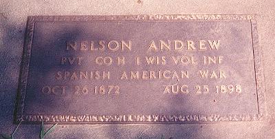 Grave of Andrew Nelson, 1st Wisconsin Volunteer Infantry, in Wisconsin