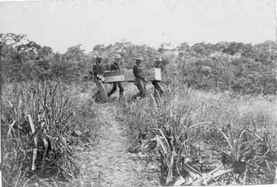 Coffin of Harry Hague, 8th Ohio Volunteer Infantry