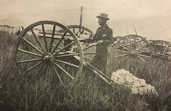 Gatling Guns in the Tall Grass near Santiago, Cuba