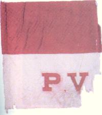 Remains of the Governor's Troop guidon