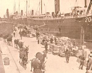 Loading supplies on transports at Tampa